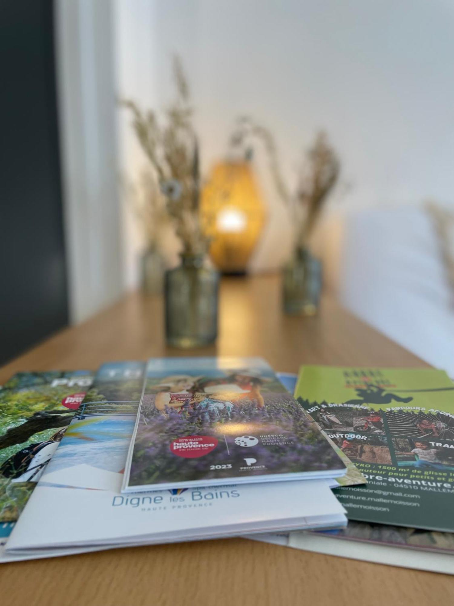 Spacieux Studio « Boheme » Digne-les-Bains Zewnętrze zdjęcie