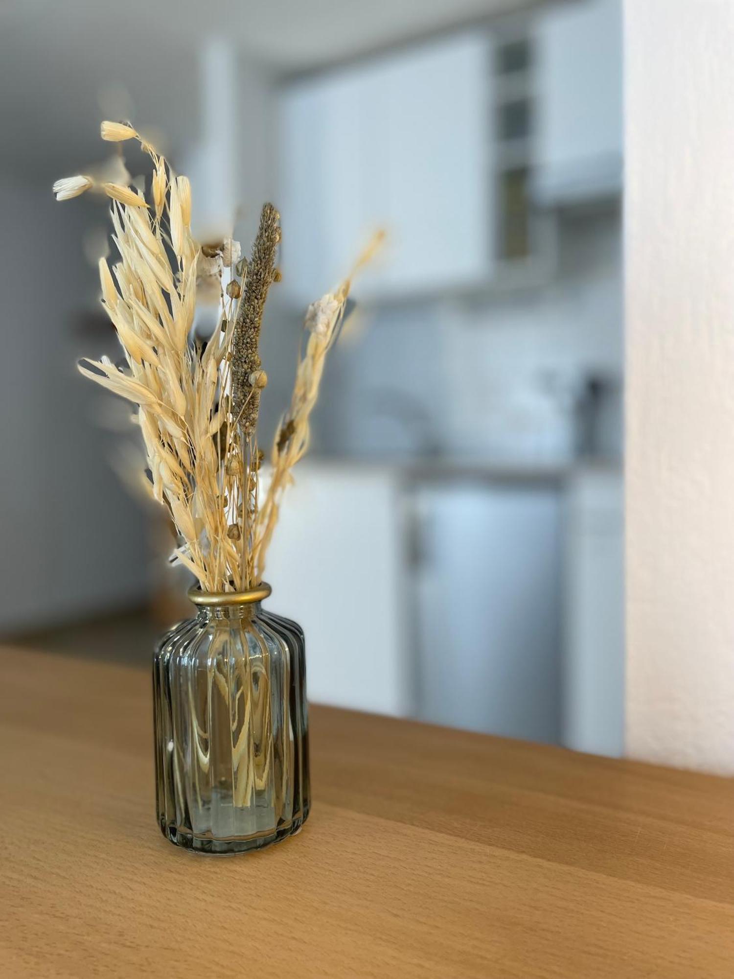 Spacieux Studio « Boheme » Digne-les-Bains Zewnętrze zdjęcie